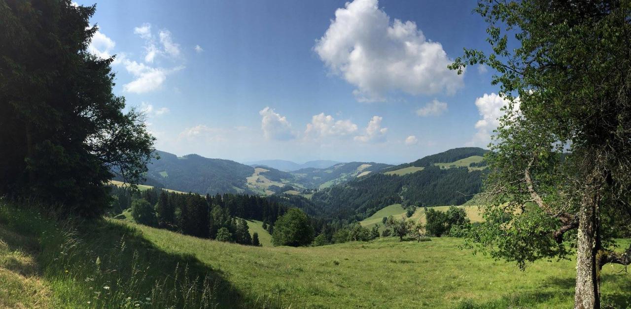 Gasthof Gutmann Эберштайн Экстерьер фото